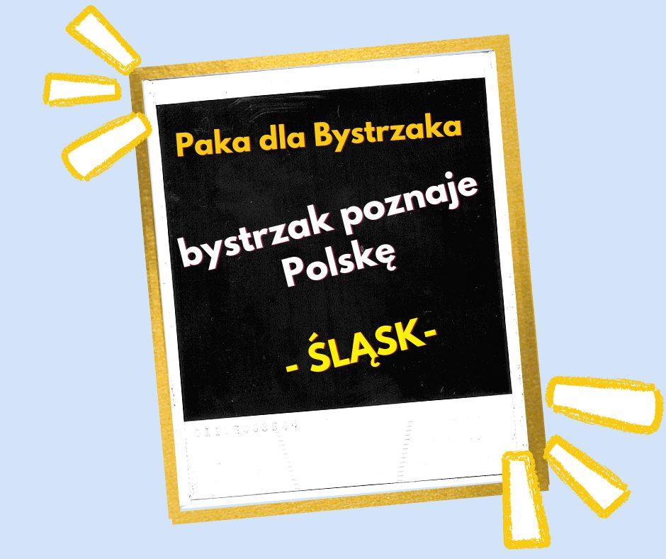 Bystrzak poznaje Polskę. Śląsk